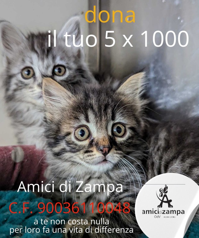 Amici di zampa