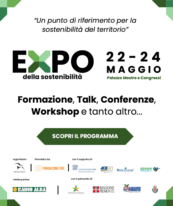 Expo 2025 - 2